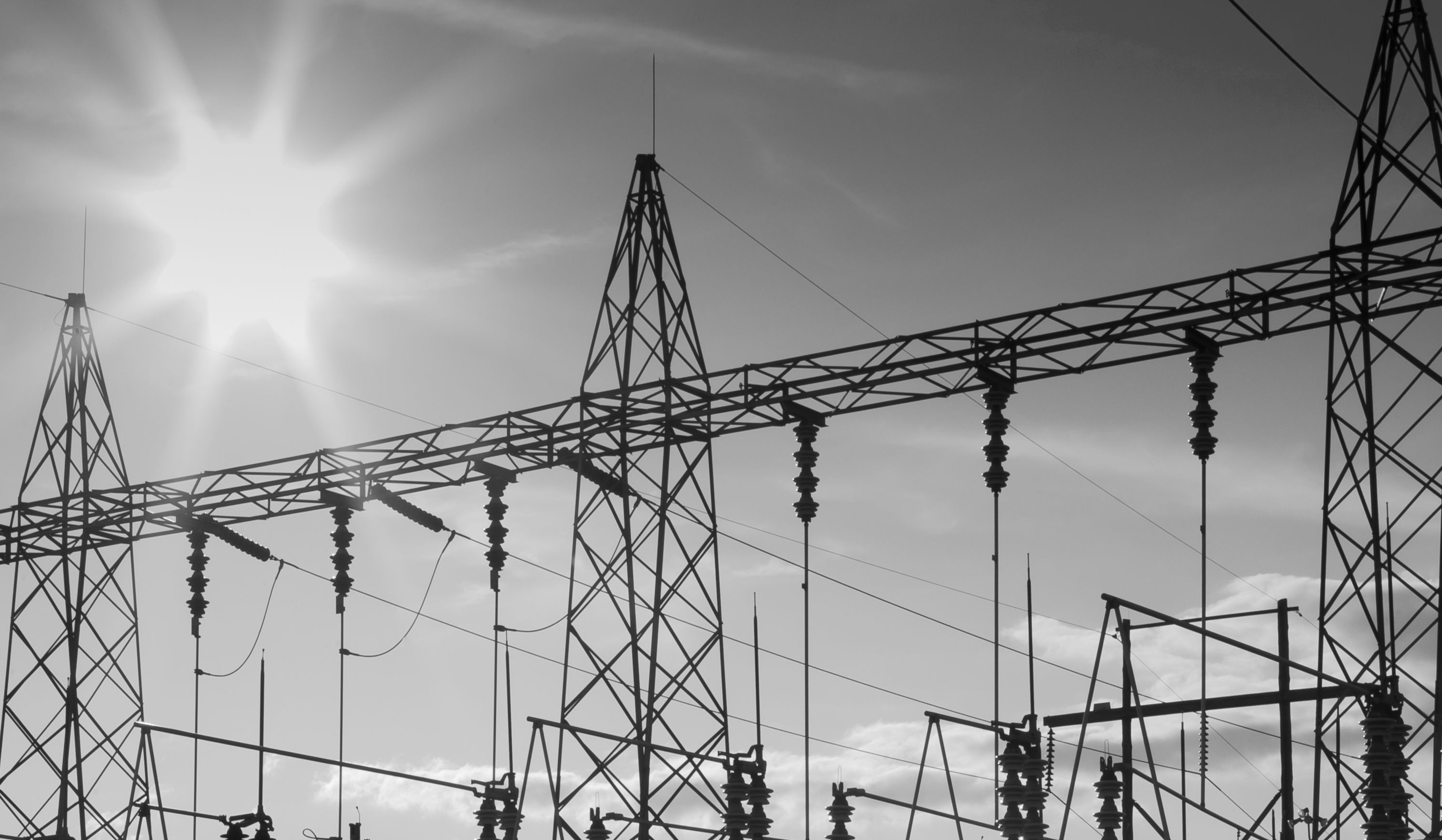 How we helped a major electricity distributor reduce SAP audit costs
